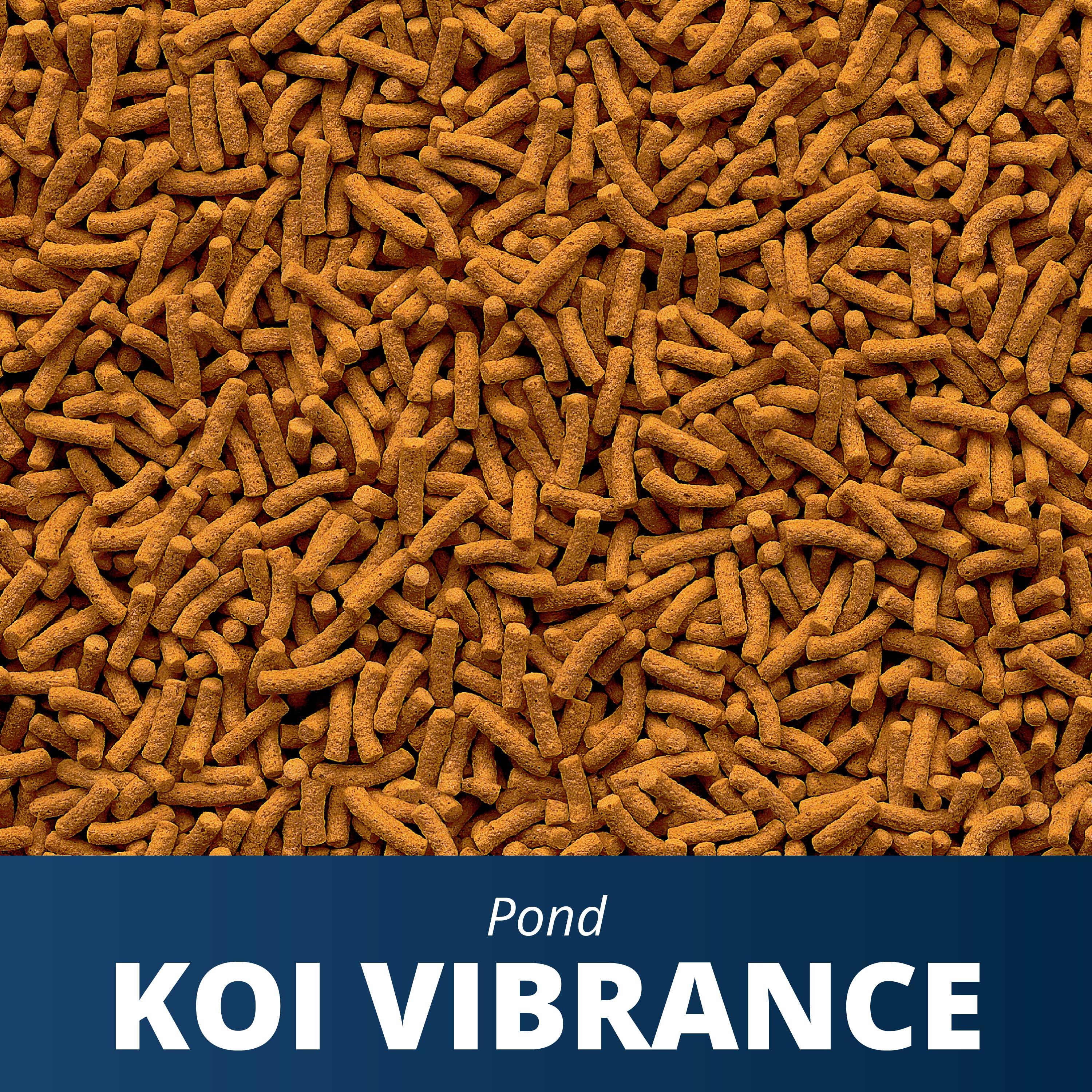 Koi vibrance hot sale
